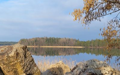 Vårkänslor